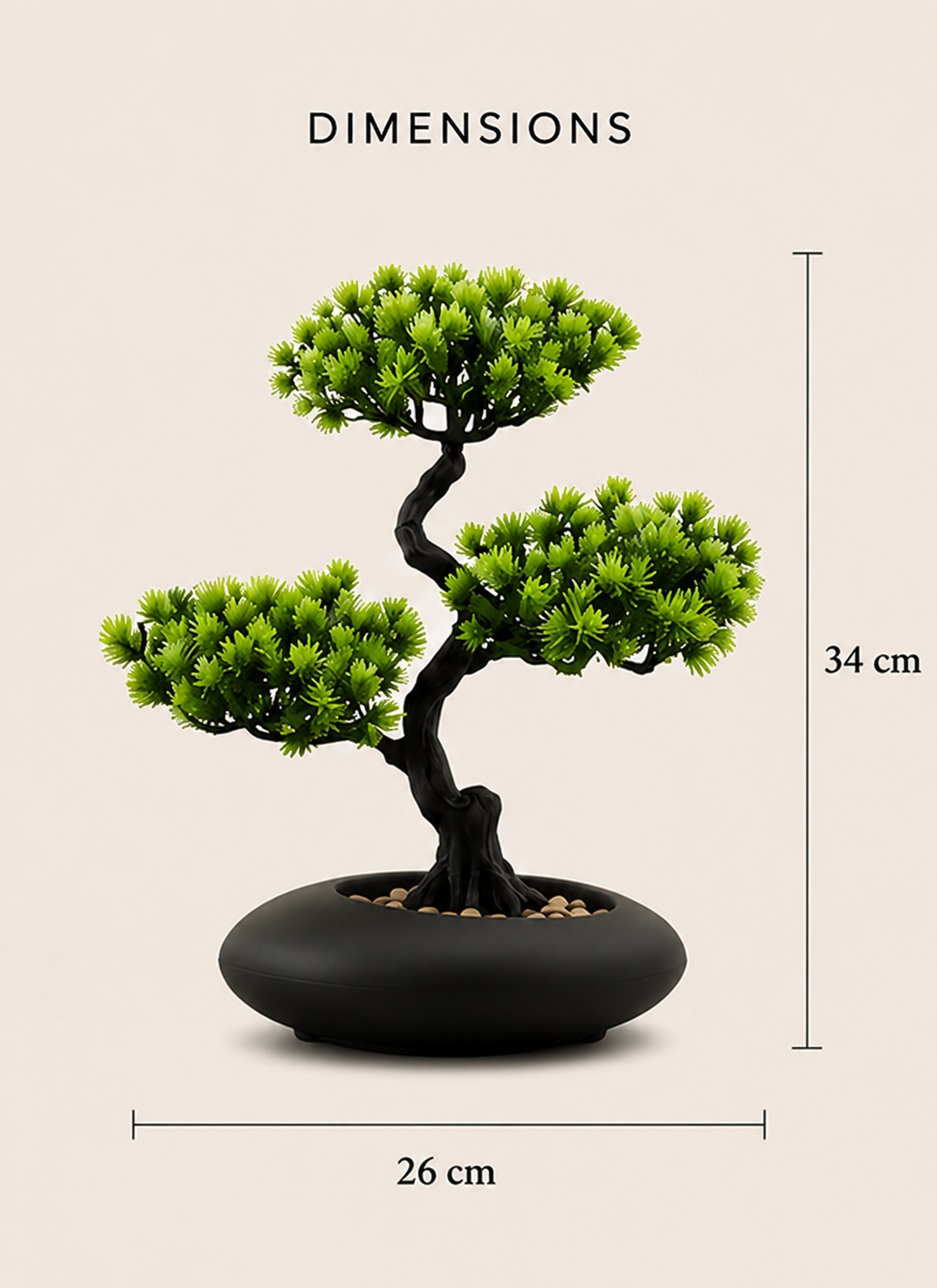 Dimensions du bonsaï artificiel Katsuro : 34 cm de hauteur et 26 cm de largeur.