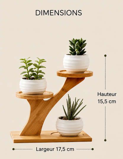 Dimensions du support à plantes Komorebi en bambou : 15,5 cm de hauteur et 17,5 cm de largeur.