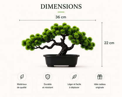 Dimensions du bonsaï artificiel Kaito – 36 cm de largeur et 22 cm de hauteur